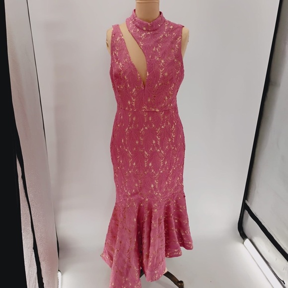 LA MAISON TALULAH FOUNDATION LACE MIDI DRESS IN TEAROSE SIZE large - $350 - Picture 5 of 16